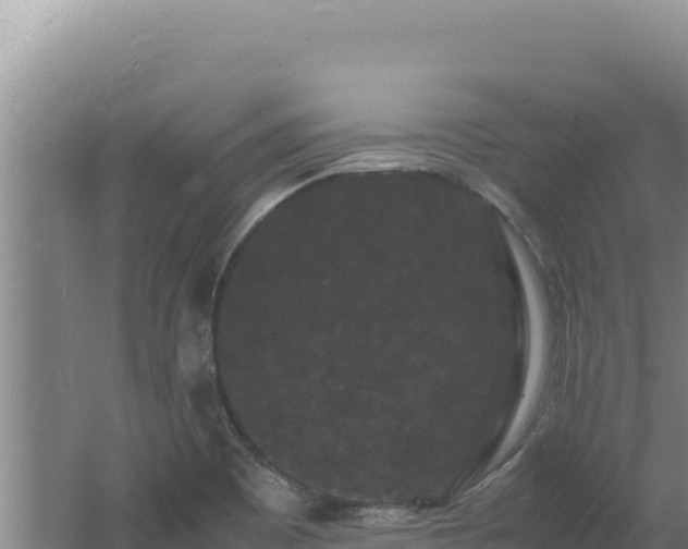 X0000062631465200512231000