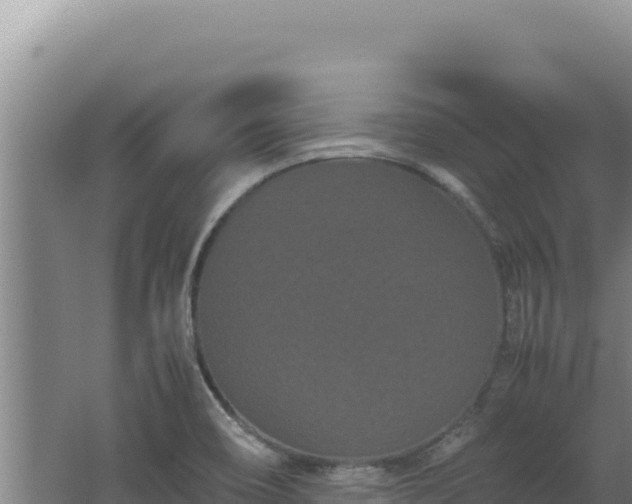 X0000062631466200512231000