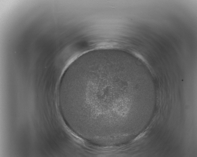 X0000062631467200512231000