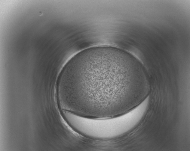 X0000062631468200512231000