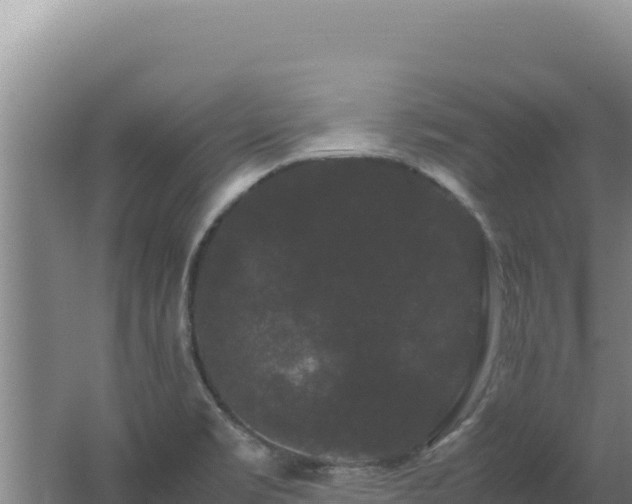 X0000062631469200512231000