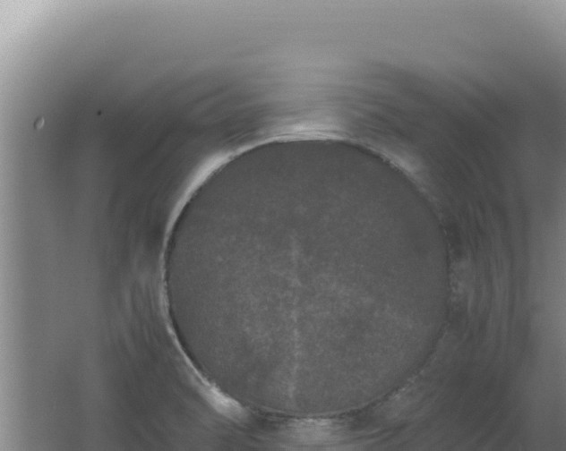 X0000062631470200512231000