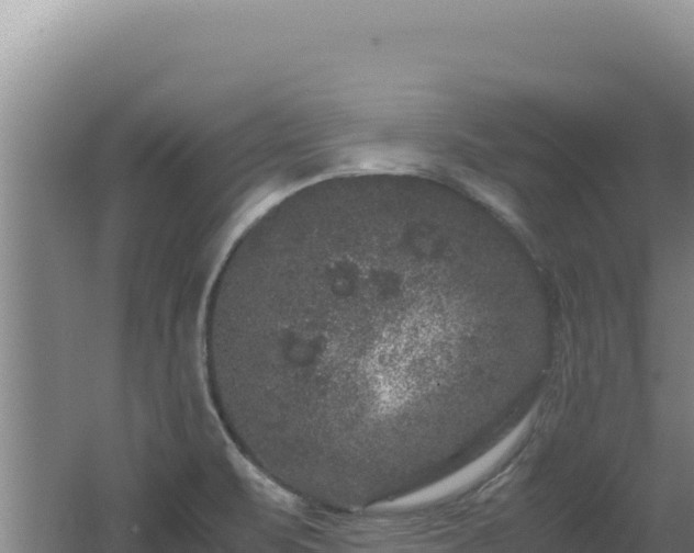 X0000062631471200512231000