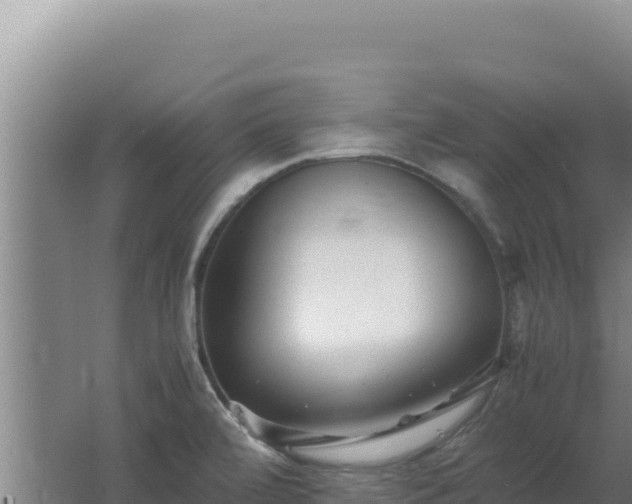 X0000062631472200512231000