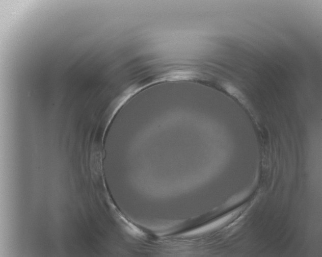 X0000062631473200512231000