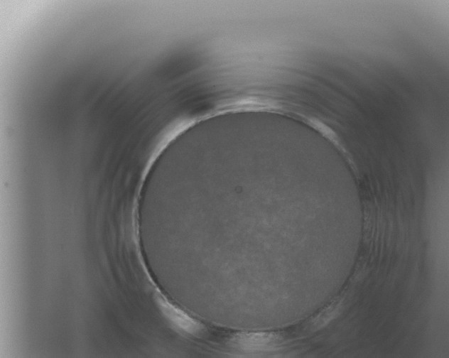 X0000062631474200512231000