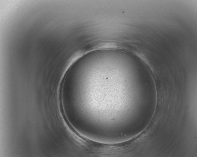 X0000062631475200512231000