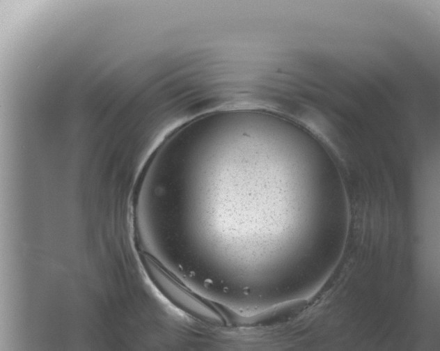 X0000062631476200512231000