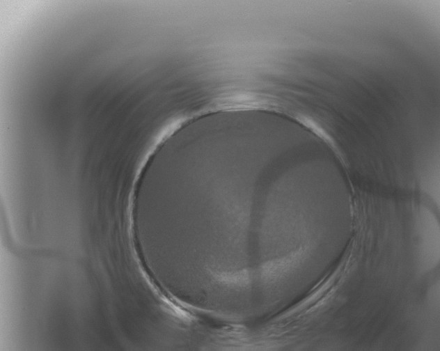 X0000062631477200512231000