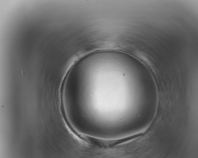 X0000062631479200512231000