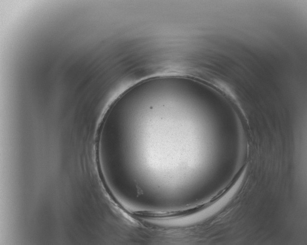 X0000062631480200512231000