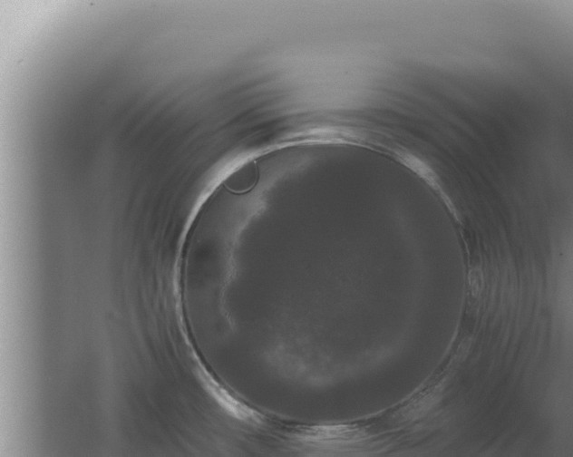 X0000062631482200512231000