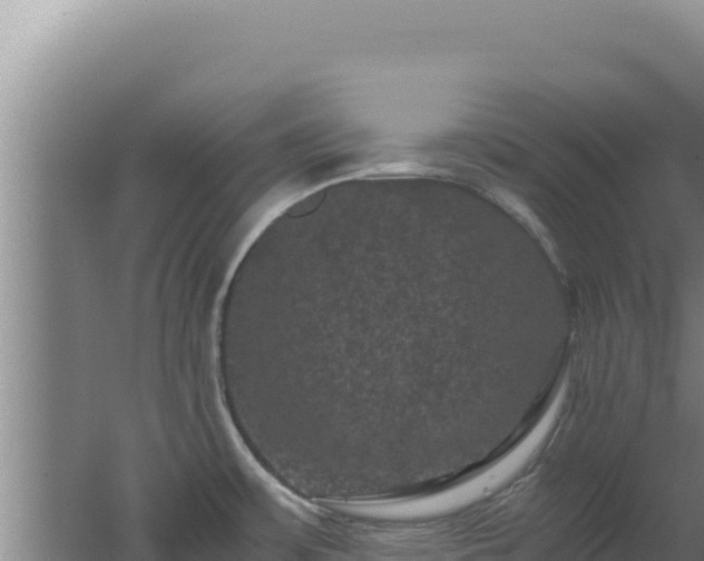 X0000062631483200512231000