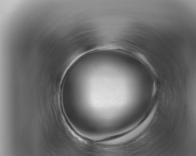 X0000062631484200512231000