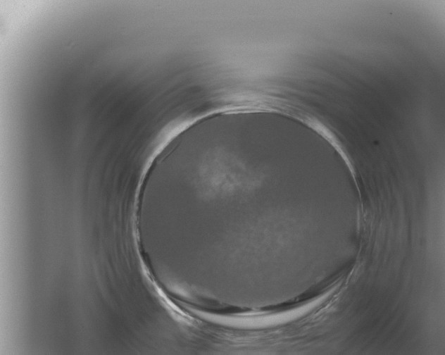 X0000062631485200512231000