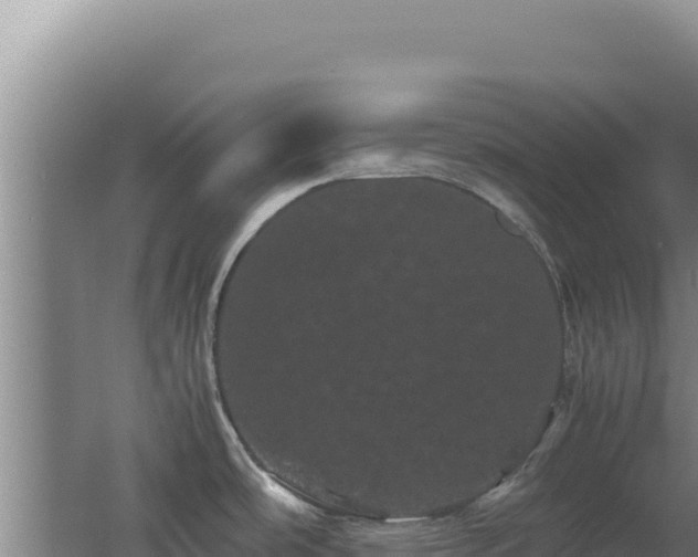 X0000062631486200512231000