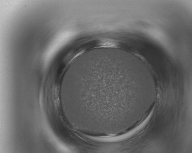 X0000062631487200512231000