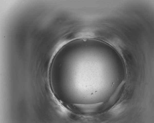 X0000062631488200512231000