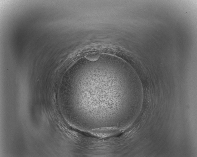 X0000062631489200512230959