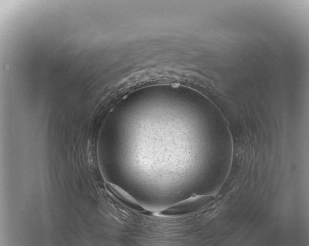 X0000062631490200512230959