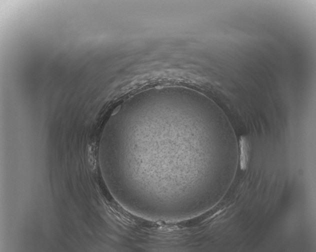 X0000062631491200512230959