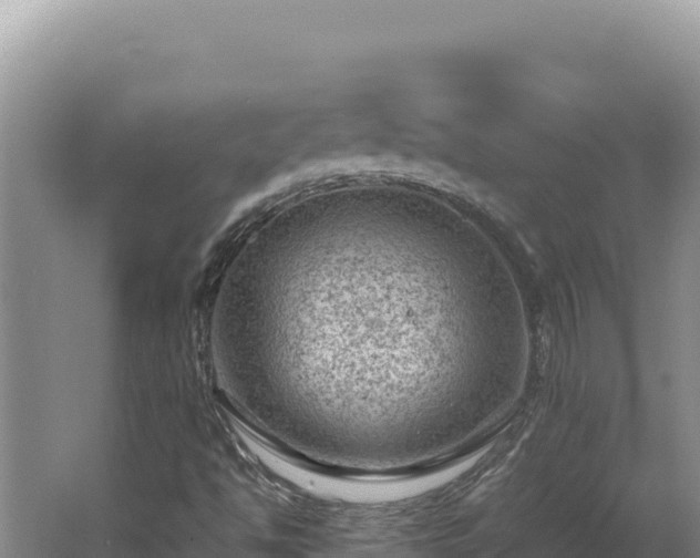 X0000062631494200512230959