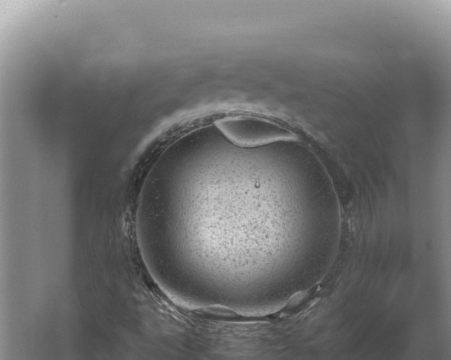 X0000062631495200512230959