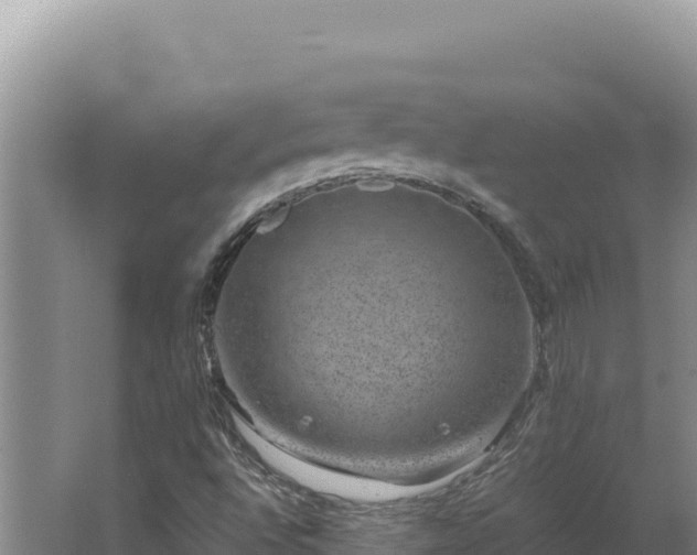 X0000062631496200512230959