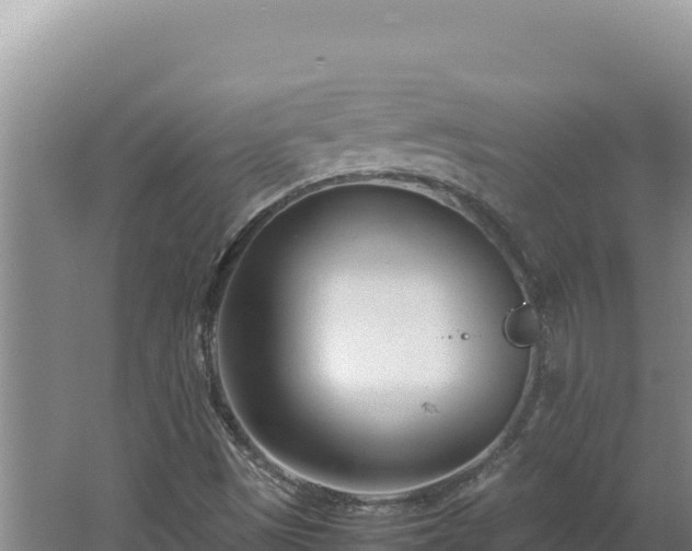 X0000062631497200512230959