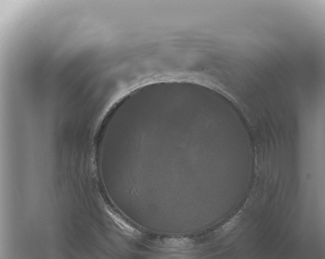 X0000062631498200512230959