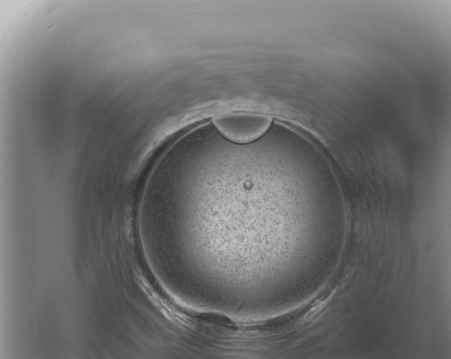 X0000062631499200512230959