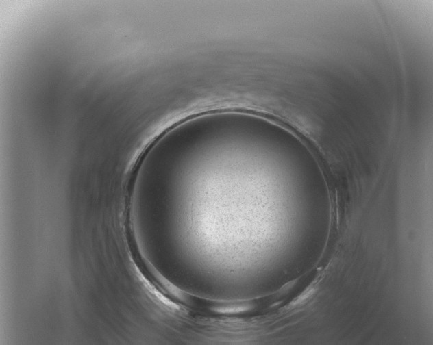 X0000062631500200512230959