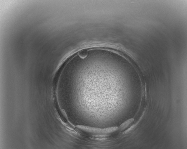 X0000062631501200512230959