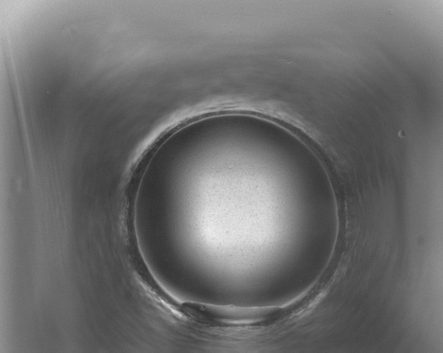 X0000062631502200512230959