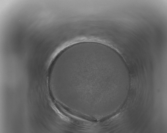 X0000062631503200512230959