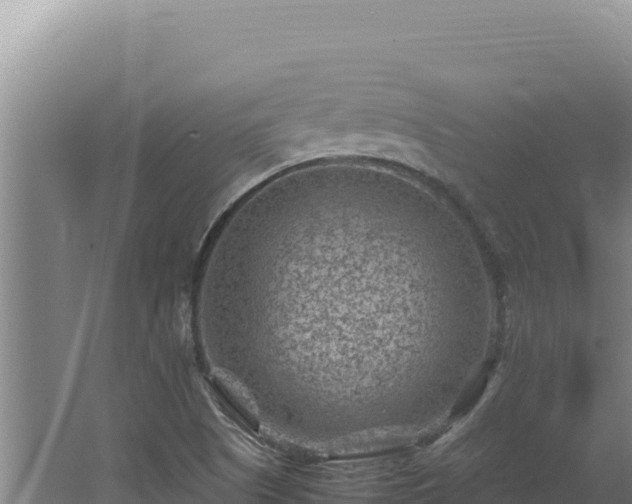 X0000062631505200512230959