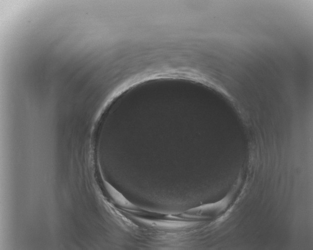 X0000062631506200512230959