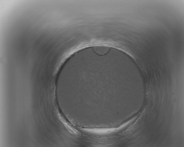 X0000062631507200512230959