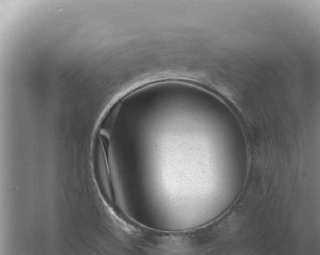 X0000062631508200512230959