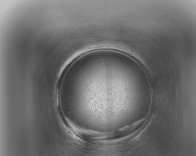 X0000062631510200512230959