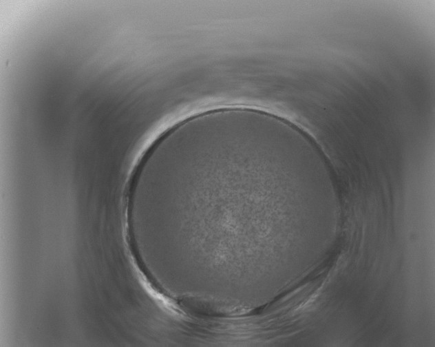 X0000062631511200512230959