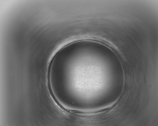 X0000062631512200512230959