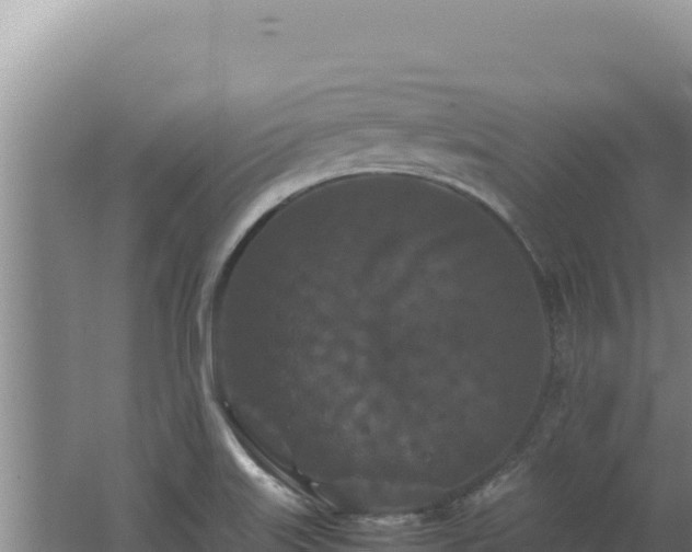 X0000062631515200512230959