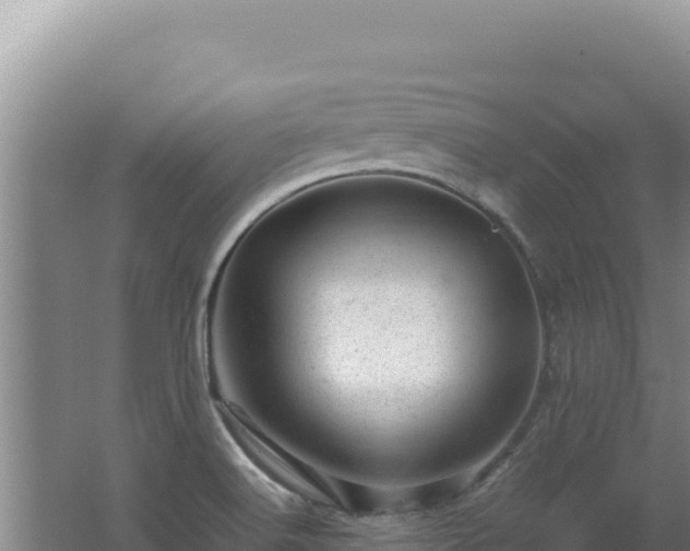 X0000062631516200512230959