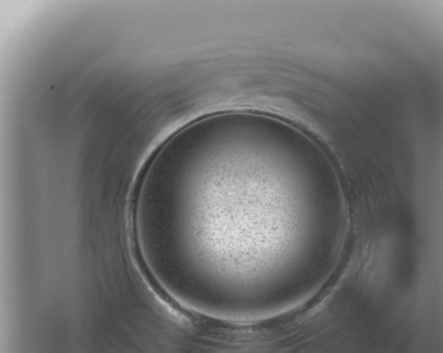 X0000062631517200512230959