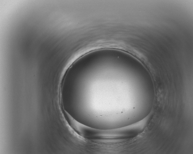 X0000062631520200512230959