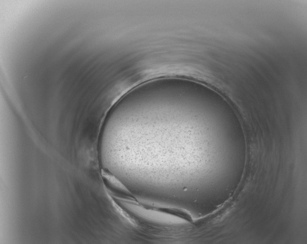 X0000062631521200512230959