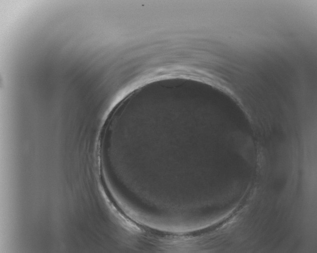 X0000062631522200512230959