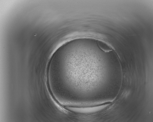 X0000062631523200512230959