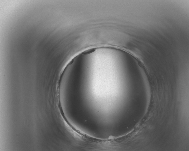 X0000062631524200512230959